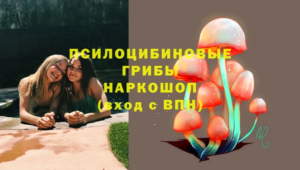 хмурый Протвино