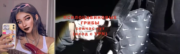 хмурый Протвино