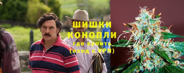 хмурый Протвино