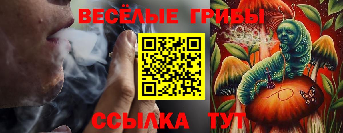 Галлюциногенные грибы прущие грибы  Вход с VPN  Ухта  Псилоцибиновые грибы мицелий 